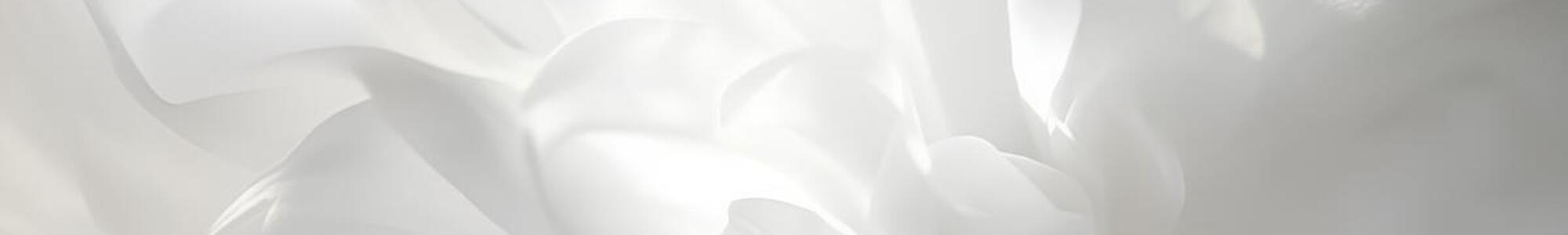 Pantone Color Of The Year 2026: Cloud Dancer